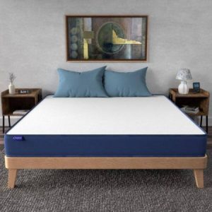 Flo Ortho Mattress Aloe Vera Infused Orthopedic Mattress With Pain Release Technology Medium Firm Feel